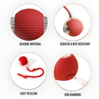 Talking Dog Club Automatic Rotating Interactive LED Ball for Cats, Kittens and Puppies (Red)